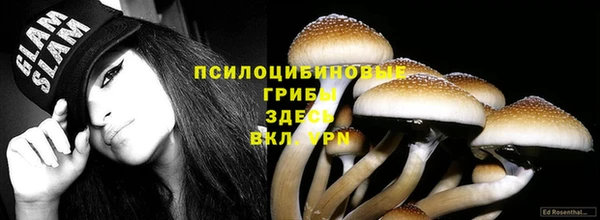 хмурый Надым
